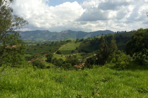 Esta pode ser explorada também com criação de abelhas porque fica distante das casas dos vizinhos e da para construir casa em uma serra, bem no meio da natureza? Área com 1,5 alqueire,  com linda vista panorâmica para a Pedra do Elefante, formada com mata,  nascente de água, ideal para quem quer sossego, a apenas  6Km de Andradas. São terras ladeirosas, mas tem uma terraplenagem com aproximadamente 300m², onde da para construir. O acesso ideal é com veículo 4 x 4. - foto 3