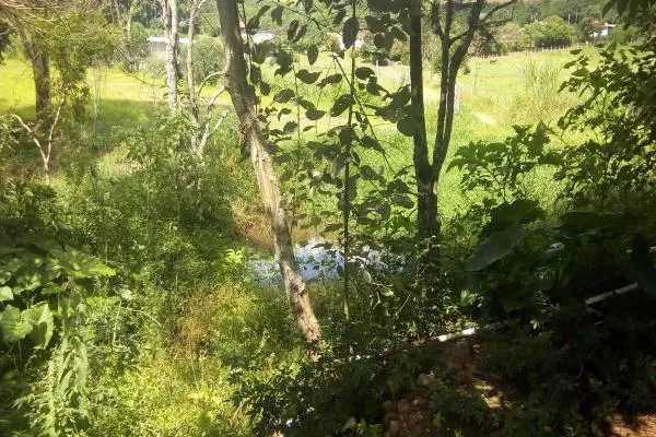 Chácara com 2.200m², córrego, açude, muito verde, apenas 700m distante da rodovia de Ibitiúra, especial para quem quer sossego. - foto 2