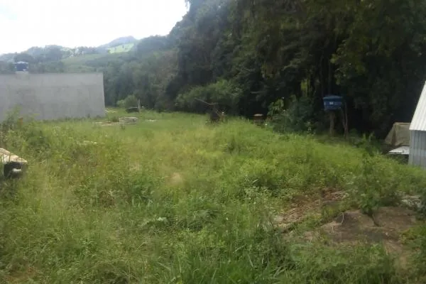 Chácara com 2.200m², córrego, açude, muito verde, apenas 700m distante da rodovia de Ibitiúra, especial para quem quer sossego. - foto 3