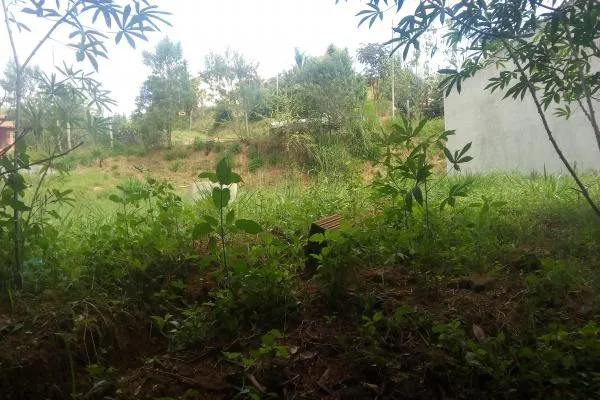 Chácara com 2.200m², córrego, açude, muito verde, apenas 700m distante da rodovia de Ibitiúra, especial para quem quer sossego. - foto 4