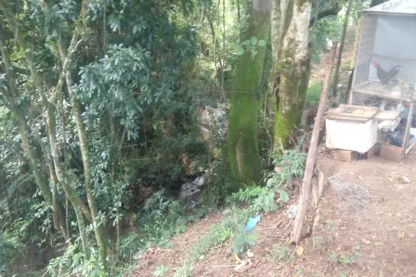 Chácara com 2.200m², córrego, açude, muito verde, apenas 700m distante da rodovia de Ibitiúra, especial para quem quer sossego. - foto 5