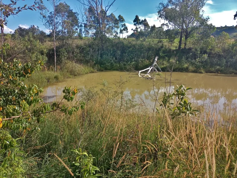 Este é para você que idealizou ter um sítio em localização privilegiada e de fácil acesso.  Área de terras com 7,7 alqueires ou 18,6 hectares sem edificações, com açude, localizado a apenas 1,7Km da rodovia Andadas/Poços de Caldas, topografia setenta por cento tratorável, 3 hectares formados com eucalipto cortado recentemente, bacias de contenção contra erosão, sem servidão de caminho para terceiros,  local ideal para a agropecuária, construir sua morada ou para o lazer, fica próximo de Andradas e de Poços de Caldas, região que vem se devolvendo com diversidade de culturas como horticultura, flores, oliveiras, eucalipto e frutíferas, altitude média entre 1340 a 1365 metros. Agende logo sua visita, com as boas qualidades que este imóvel possui será vendido rapidamente. - foto 2