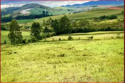 Descubra um lugar perfeito para escapar da agitação da...