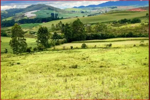 Descubra um lugar perfeito para escapar da agitação da cidade e aproveitar a tranquilidade da natureza! Com 7,7 alqueires, você pode desfrutar de um açude,  capão de eucalíptos, rede de energia sobre o sítio, mais um pasto onde você poderá explorar a pecuária e diversas culturas como uvas, oliveiras, figos, caqui e obter uma boa renda.  Além disso, o fácil acesso e a proximidade da rodovia Poços/Andradas fazem deste lugar um ótimo investimento. Não perca esta oportunidade de ter seu próprio refúgio na natureza! - foto 3