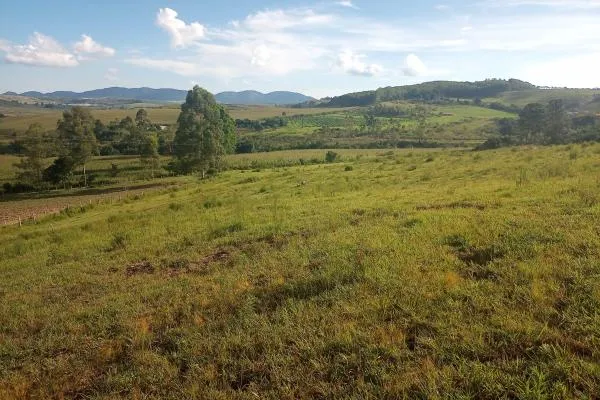 Descubra um lugar perfeito para escapar da agitação da cidade e aproveitar a tranquilidade da natureza! Com 7,7 alqueires, você pode desfrutar de um açude,  capão de eucalíptos, rede de energia sobre o sítio, mais um pasto onde você poderá explorar a pecuária e diversas culturas como uvas, oliveiras, figos, caqui e obter uma boa renda.  Além disso, o fácil acesso e a proximidade da rodovia Poços/Andradas fazem deste lugar um ótimo investimento. Não perca esta oportunidade de ter seu próprio refúgio na natureza! - foto 6