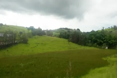 Área com 1000m², frente para MG 455-Saída de Ibitiúra,...