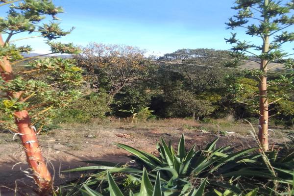 Se busca tranquilidade e quer morar junto da natureza,  esta chácara é a solução. Localizada a apenas 4Km da cidade, meio alqueire, casa, água de nascente, pés de frutas, vista panorâmica, espaço para explorar a agricultura e produzir alguns do seu próprio alimento. - foto 3