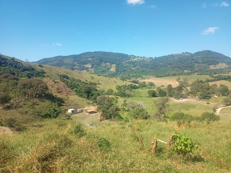 Sítio com casa, medindo 1,24 alqueire, cafezal formado e novo, 9 km de Andradas sendo 4 asfaltado, córrego, água de nascente, com vistas, vizinho próximo. - foto 3