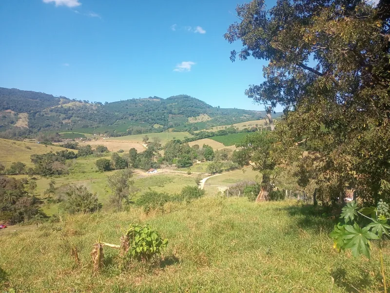 Sítio com casa, medindo 1,24 alqueire, cafezal formado e novo, 9 km de Andradas sendo 4 asfaltado, córrego, água de nascente, com vistas, vizinho próximo. - foto 4