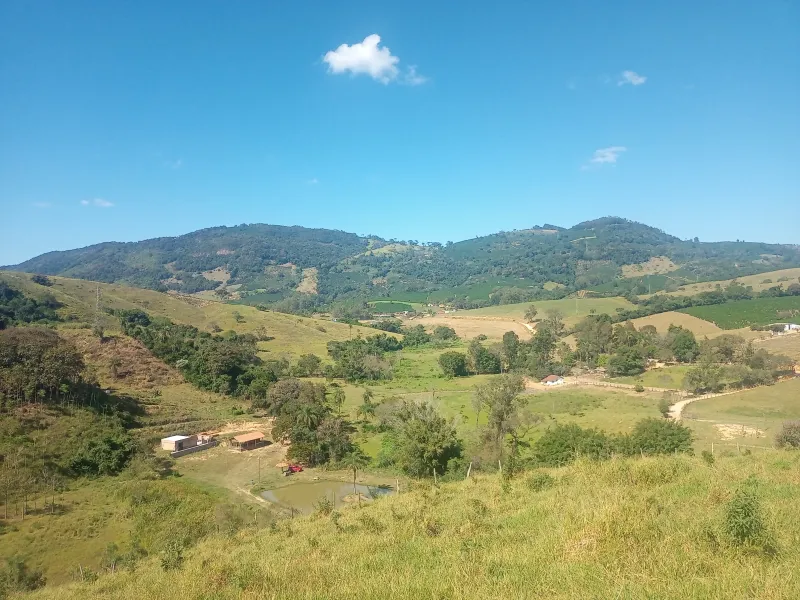 Sítio com casa, medindo 1,24 alqueire, cafezal formado e novo, 9 km de Andradas sendo 4 asfaltado, córrego, água de nascente, com vistas, vizinho próximo. - foto 5