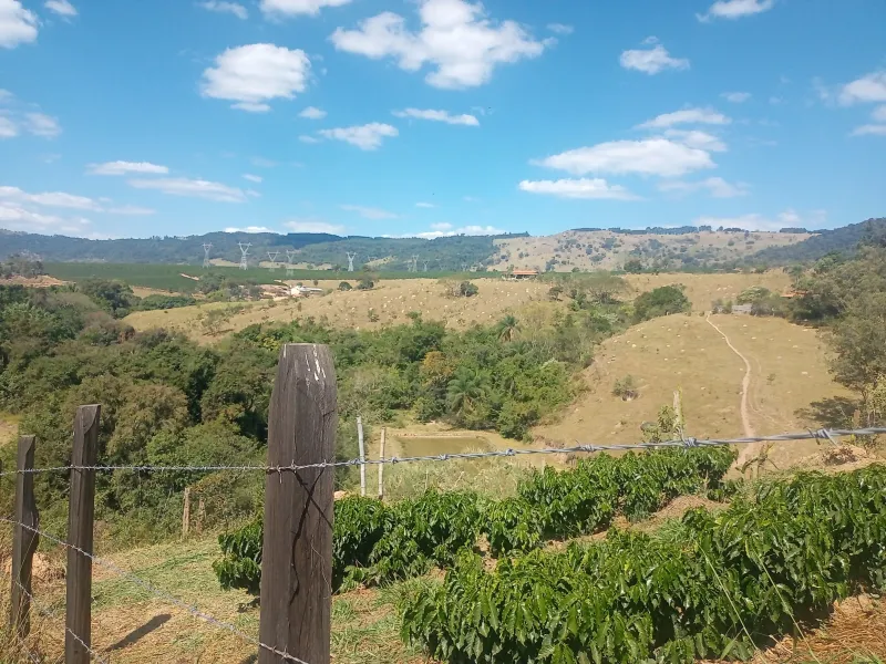 Sítio com casa, medindo 1,24 alqueire, cafezal formado e novo, 9 km de Andradas sendo 4 asfaltado, córrego, água de nascente, com vistas, vizinho próximo. - foto 6