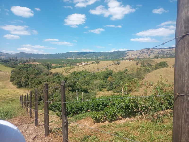 Sítio com casa, medindo 1,24 alqueire, cafezal formado e novo, 9 km de Andradas sendo 4 asfaltado, córrego, água de nascente, com vistas, vizinho próximo. - foto 7