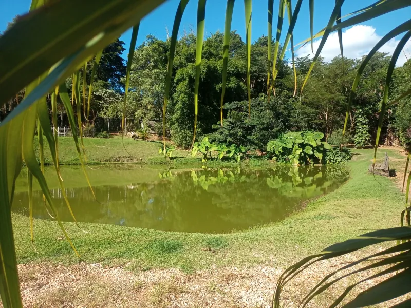 Esta charmosa chácara de 4.000 m² oferece o equilíbrio perfeito entre a comodidade da área urbana e a paz do ambiente rural. A propriedade conta com duas casas, 2 açudes para momentos de lazer e contemplação, além de pomar formado e área de pastagem, ideal para criar ou soltar seus animais com segurança e conforto.
Um espaço perfeito para quem busca contato com a natureza, privacidade e bem-estar sem abrir mão da praticidade de estar perto da cidade.
Entre em contato e vamos agendar uma visita. - foto 3