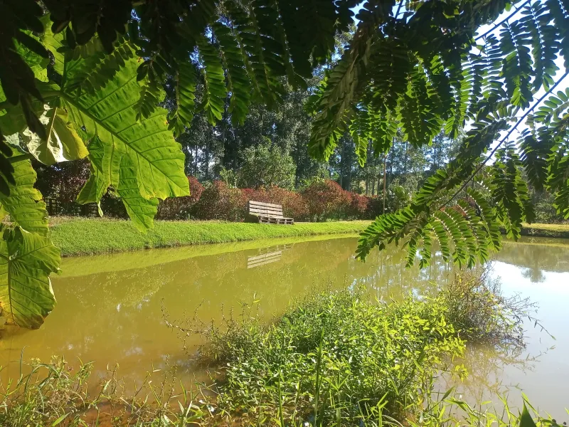 Esta charmosa chácara de 4.000 m² oferece o equilíbrio perfeito entre a comodidade da área urbana e a paz do ambiente rural. A propriedade conta com duas casas, 2 açudes para momentos de lazer e contemplação, além de pomar formado e área de pastagem, ideal para criar ou soltar seus animais com segurança e conforto.
Um espaço perfeito para quem busca contato com a natureza, privacidade e bem-estar sem abrir mão da praticidade de estar perto da cidade.
Entre em contato e vamos agendar uma visita. - foto 5